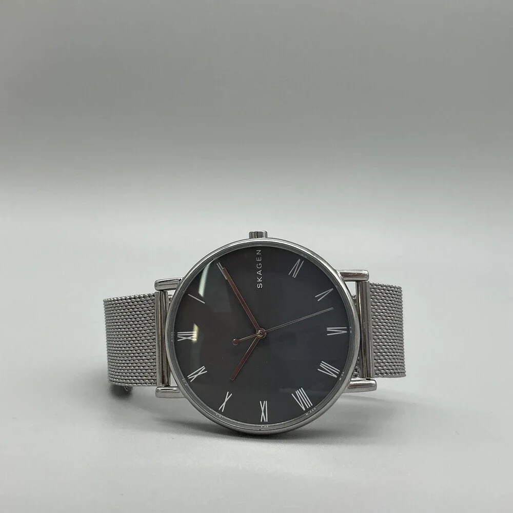 Skagen Signatur Mens Watch 40mm Gray Dial Mesh Stainless Steel New Battery